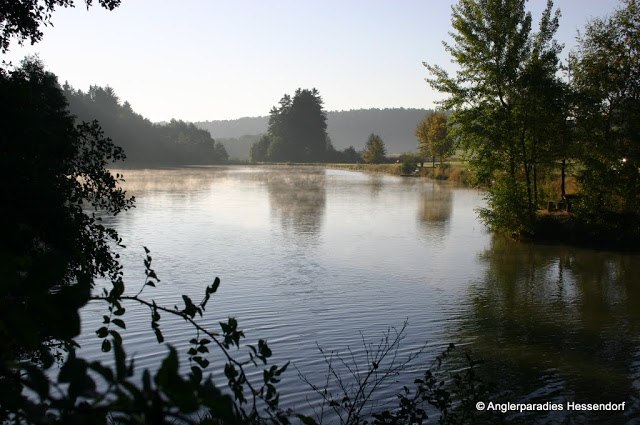 Anglerparadies Hessendorf, © Anglerparadies Hessendorf Ein ruhiger See im Morgenlicht mit Bäumen am Ufer und leichtem Nebel über dem Wasser.