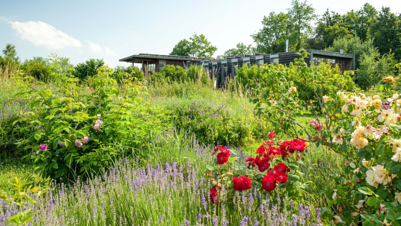 Stadtgemeinde Hardegg, © Retzer Land / Die Reisereporter Stadtgemeinde Hardegg, © Retzer Land / Die Reisereporter