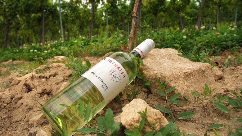 Reinthaler Weine, &copy; Seymann