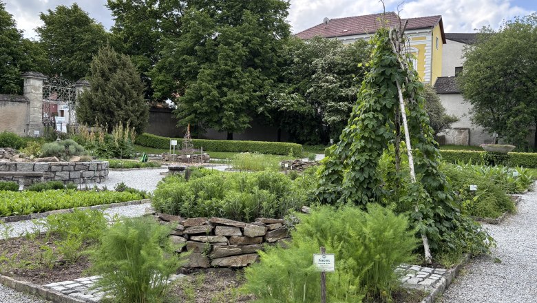Heilkr&auml;utergarten im Stift Geras mit verschiedenen Pflanzenbeeten und einem Rankger&uuml;st aus Holz.