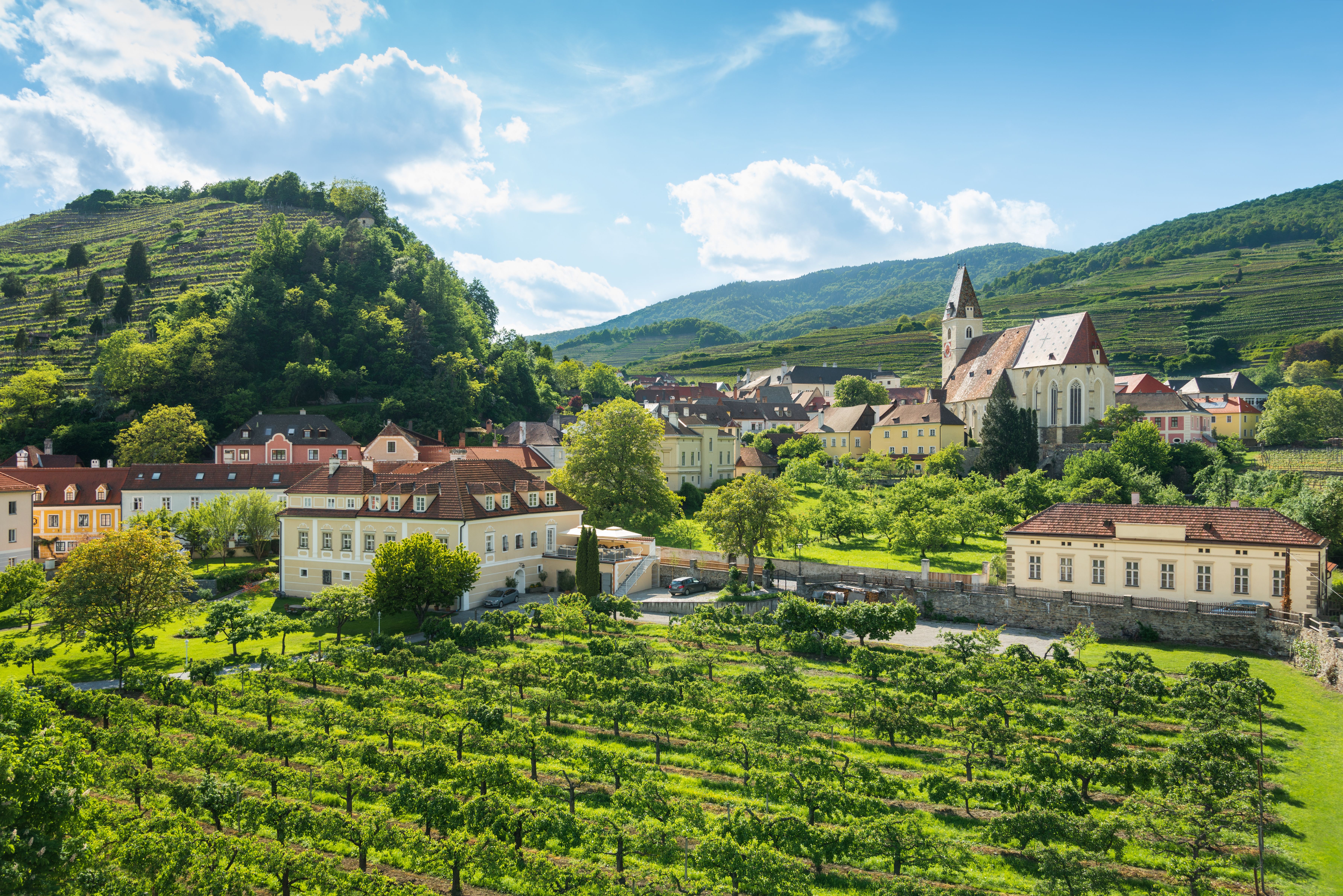 Panoramablick auf Spitz in der Wachau mit historischer Kirche, Weinbergen und Obstgärten.