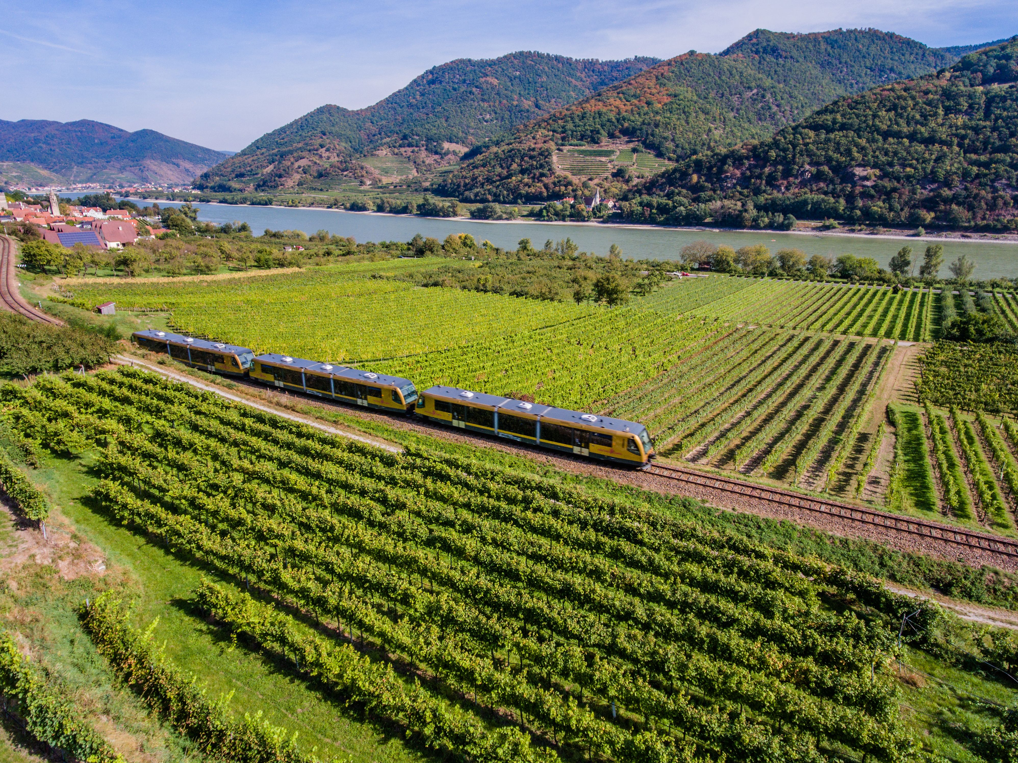 Die gelb-schwarzer Wachaubahn fährt durch weitläufige Weinberge entlang eines breiten Flusses. Im Hintergrund erheben sich bewaldete Hügel und terrassierte Weinberge, während links ein kleines Dorf am Flussufer liegt. Der Himmel ist klar und die sonnige Landschaft vermittelt eine ruhige, idyllische Atmosphäre.