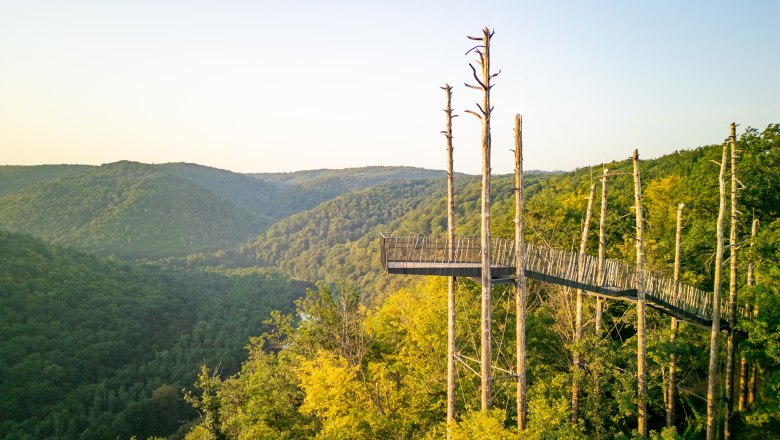 Aussichtsplattform im Wald mit Blick auf bewaldete H&uuml;gel im Hintergrund.