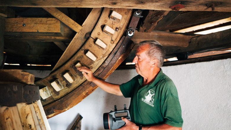 Windmühle Retz, © Weinviertel Tourismus / Gollner